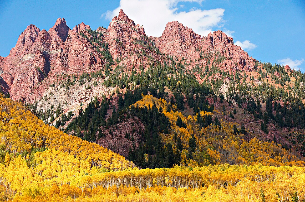 Fall foliage near Colorado Springs