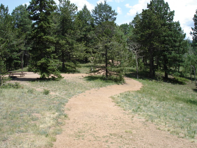 Mueller State Park campsite and forest trail